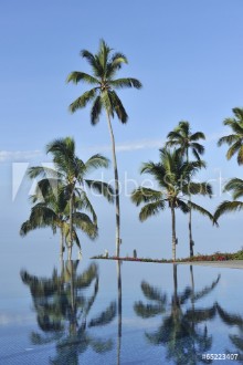Bild på zanzibar piscine dun hotel